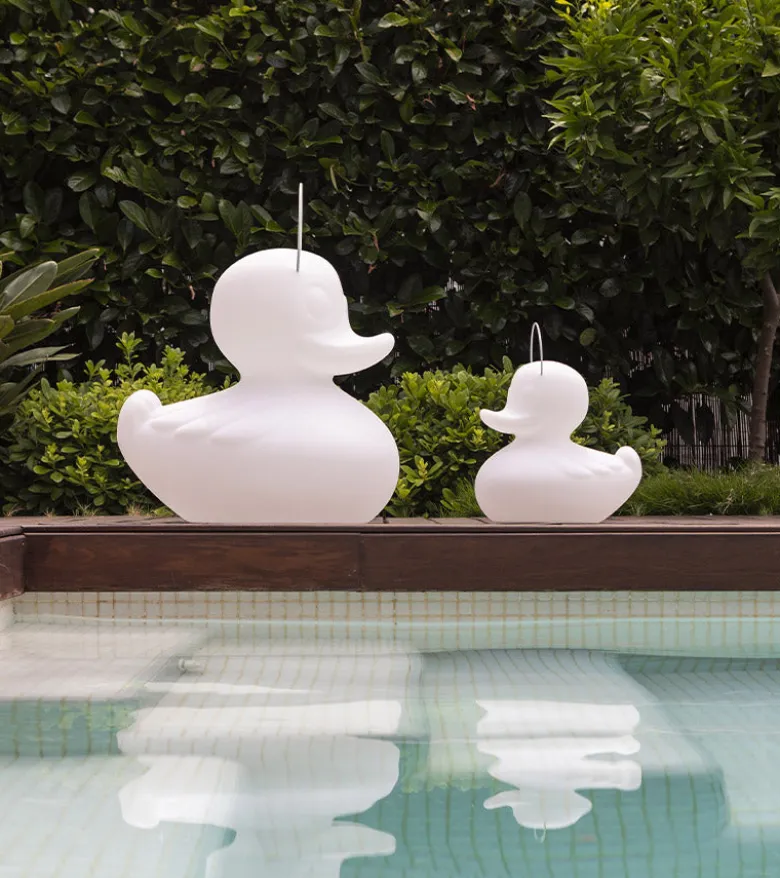 Veilleuse canard flottante
